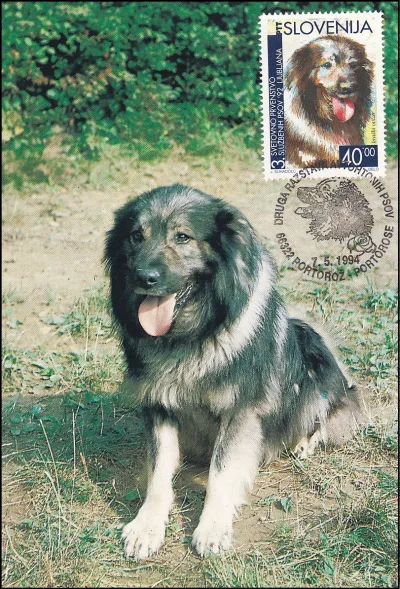 DRUGA RAZSTAVA AVTOHTONIH PSOV